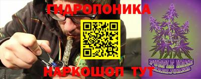 мяу мяу мука Нарткала