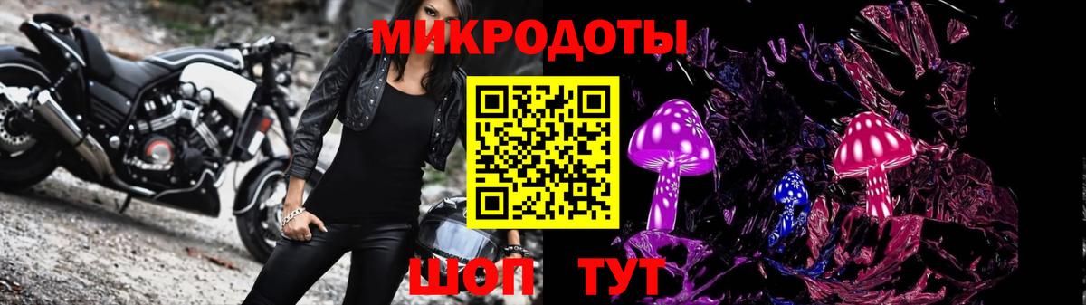 купить   Псилоцибиновые грибы MAGIC MUSHROOMS  Вход с VPN  Ульяновск 